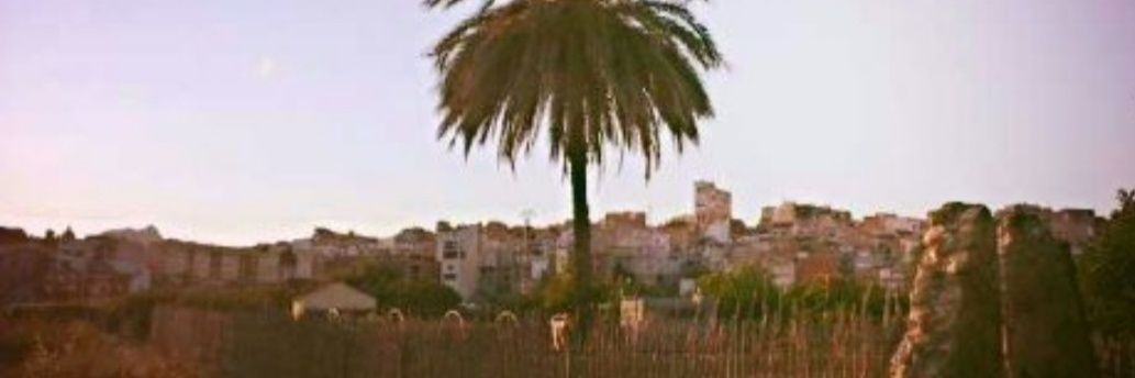 marxiniano's profile banner image