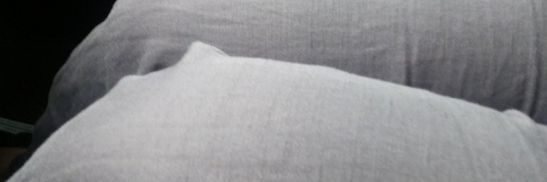 inforany's profile banner image