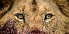 LetsGet_Hype's profile banner image