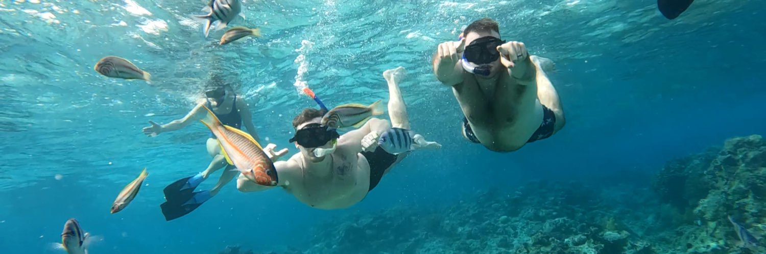 David Barwell banner