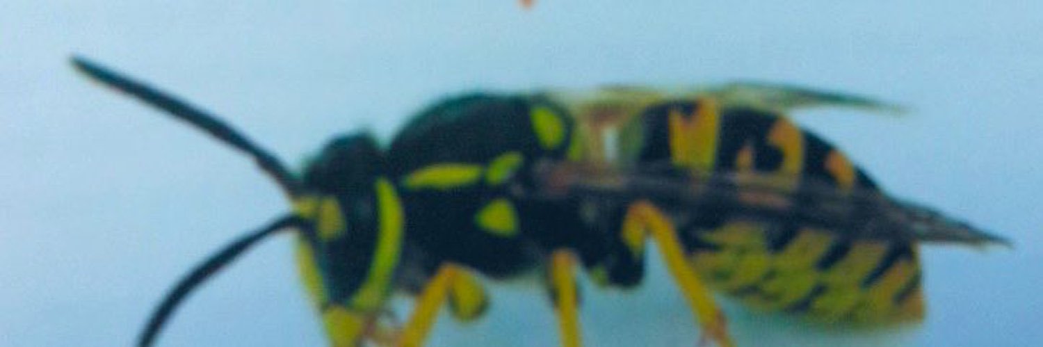 hives, ,,, banner