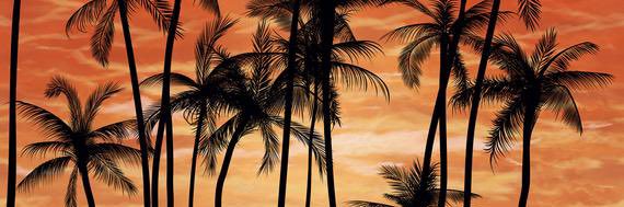 Eric Esteban banner