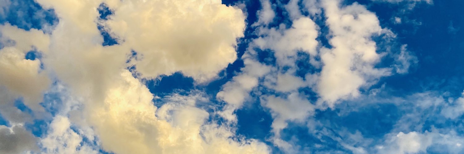 CeceRoTweets's profile banner image
