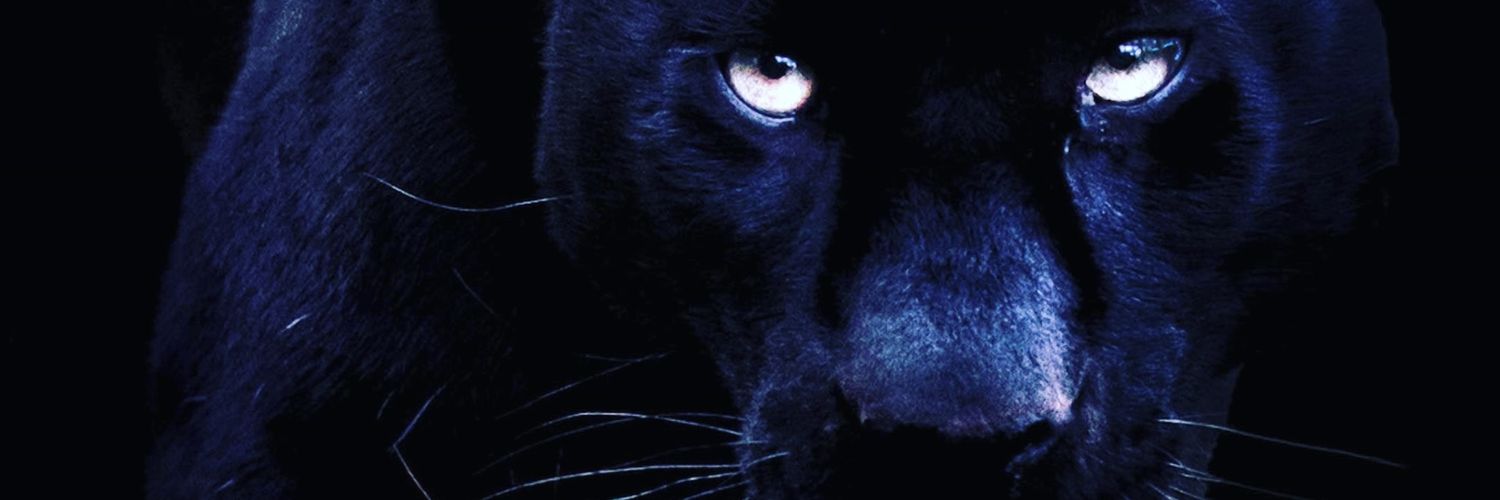 APORT3R81's profile banner image