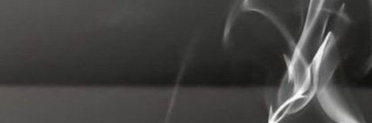 ── 毒Fie. banner