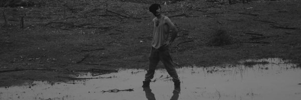 Davinchameleons Profile Banner