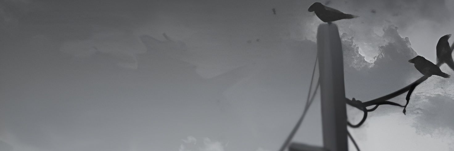 peakyoai's profile banner image