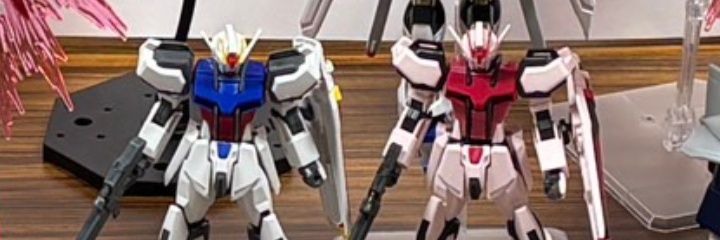 Sciurus64's profile banner image