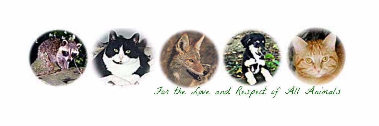 ORA_Rescue's profile banner image