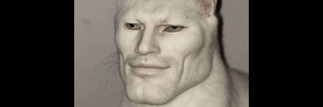 zicoray's profile banner image