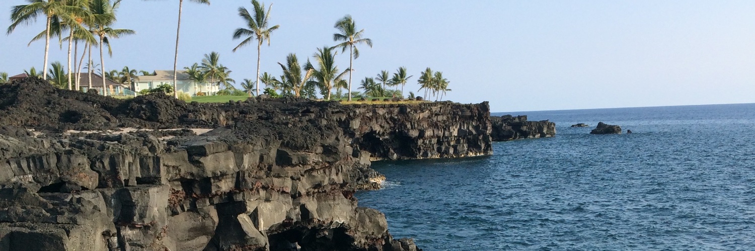 reasonablelibertarian banner