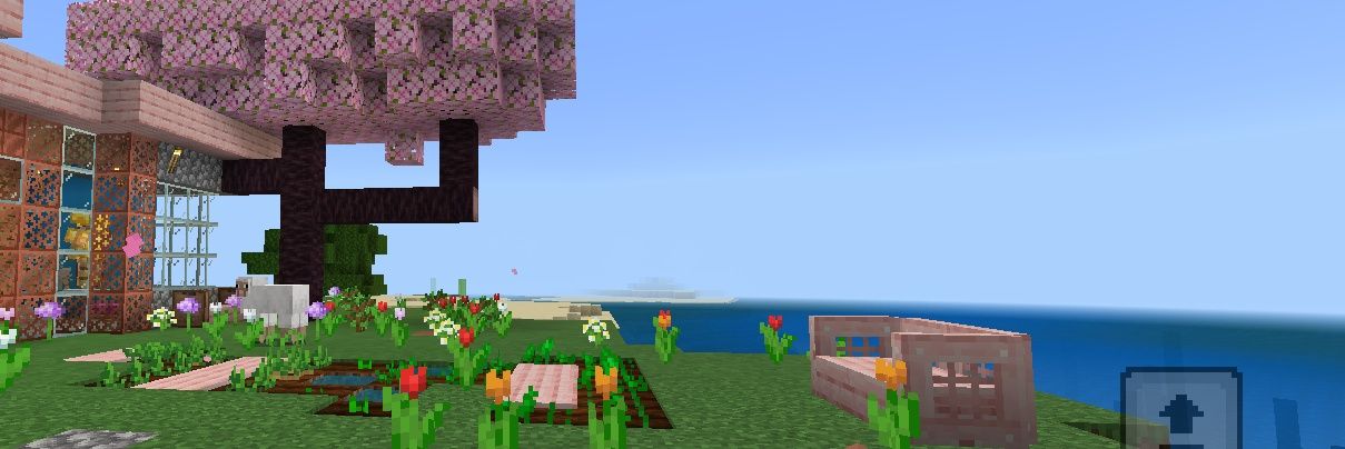 Fã do Planet Hemp banner