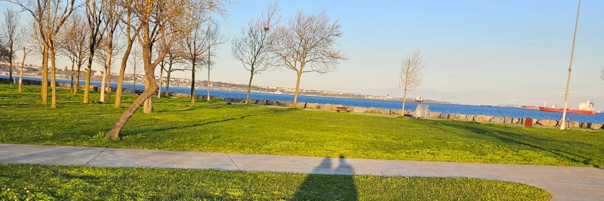 🌊دِنیز🌊 banner