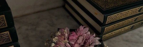 Nchk00 Profile Banner