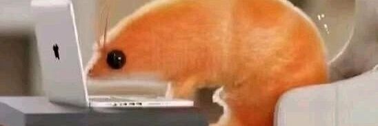 黑胶味唱片 banner