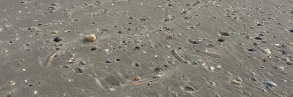 GekeLudden Profile Banner