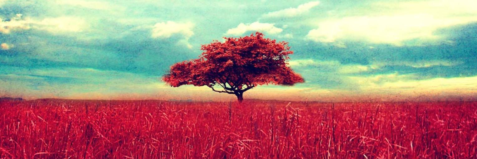 bluedebord's profile banner image