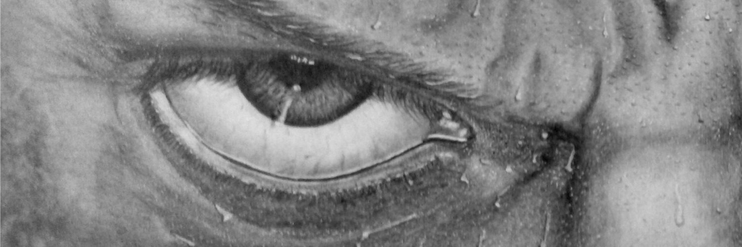 Tuilere's profile banner image