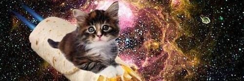 🛸🐄 pui ☮︎🌈's banner