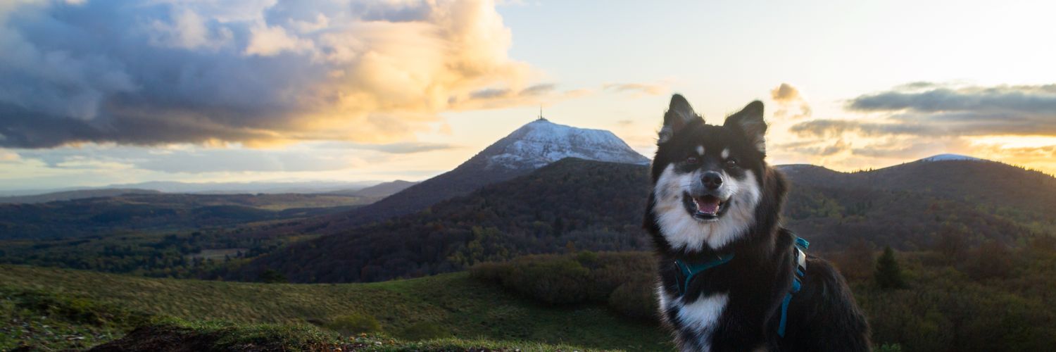 Clementadix💊 banner