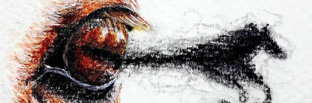 nevzqt's profile banner image