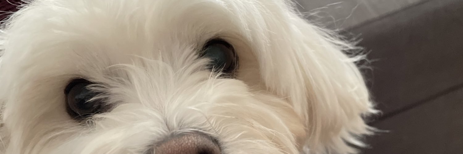 colbycopter's profile banner image