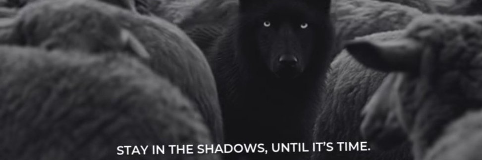 CoreyTheWall's profile banner image