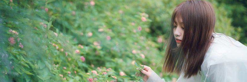 pddft34799849's profile banner image