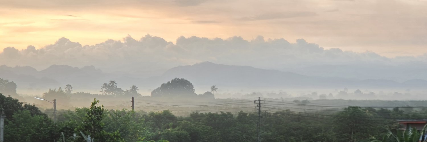 WP_Sunflower's profile banner image