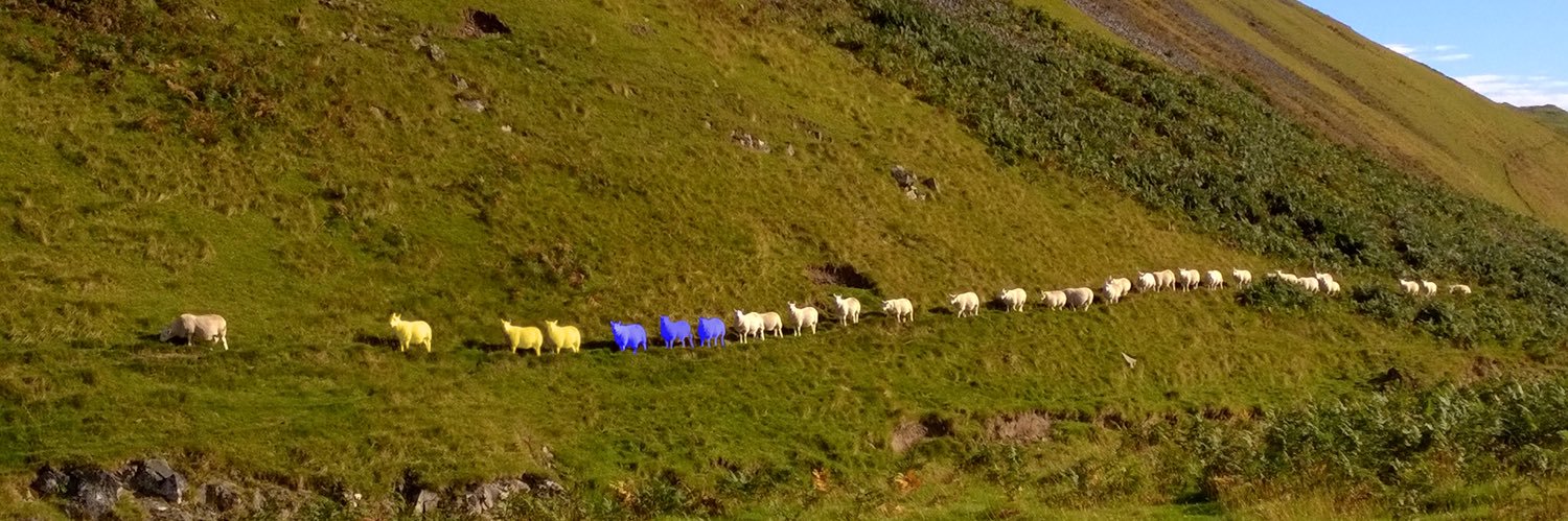 Louise Stansfield 🇫🇮 🇪🇺 banner