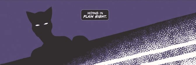 🐈‍⬛𝅙—𝅙𝒔. banner