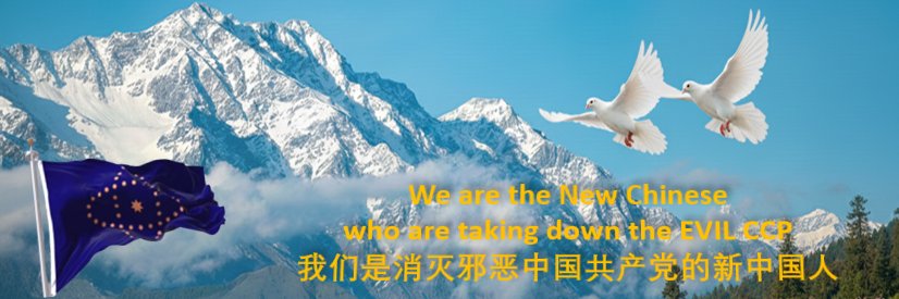 青蓝紫 (1) 的个人资料封面