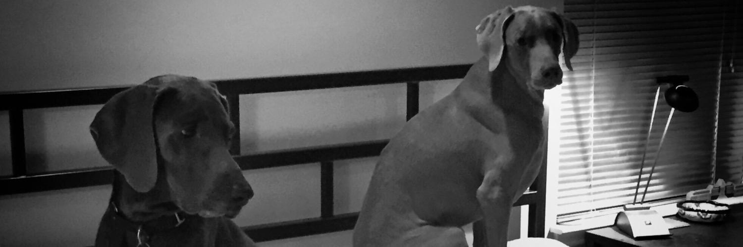 MariahGardner's profile banner image
