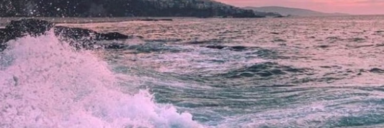 adrianeamarante's profile banner image