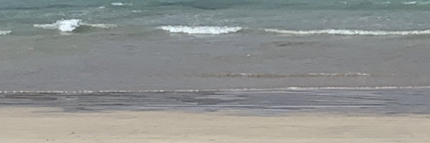gabichaS's profile banner image