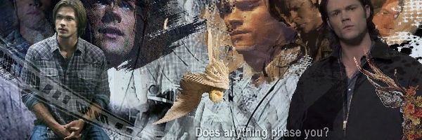 (SOULLESS EVENT) ⸝⸝ 𝑴𝒐𝒓𝒊𝒃𝒖𝒏𝒅⋆˚࿔ˎˊ˗'s banner