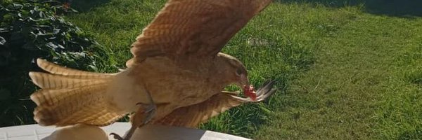 bamelnword Profile Banner