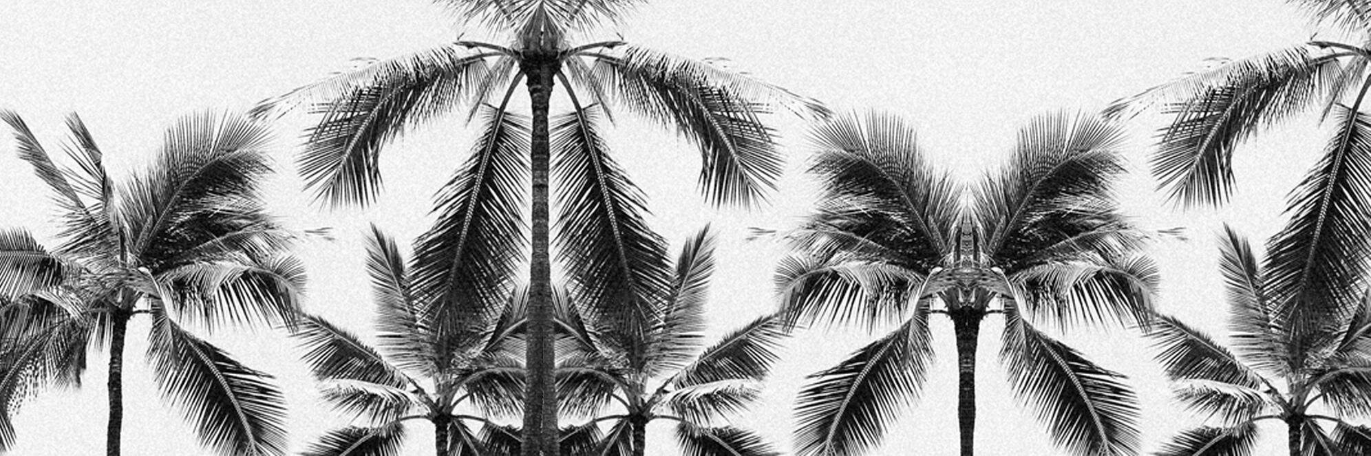BikiniBird's profile banner image