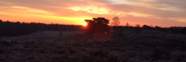 HenkVeldman's profile banner image
