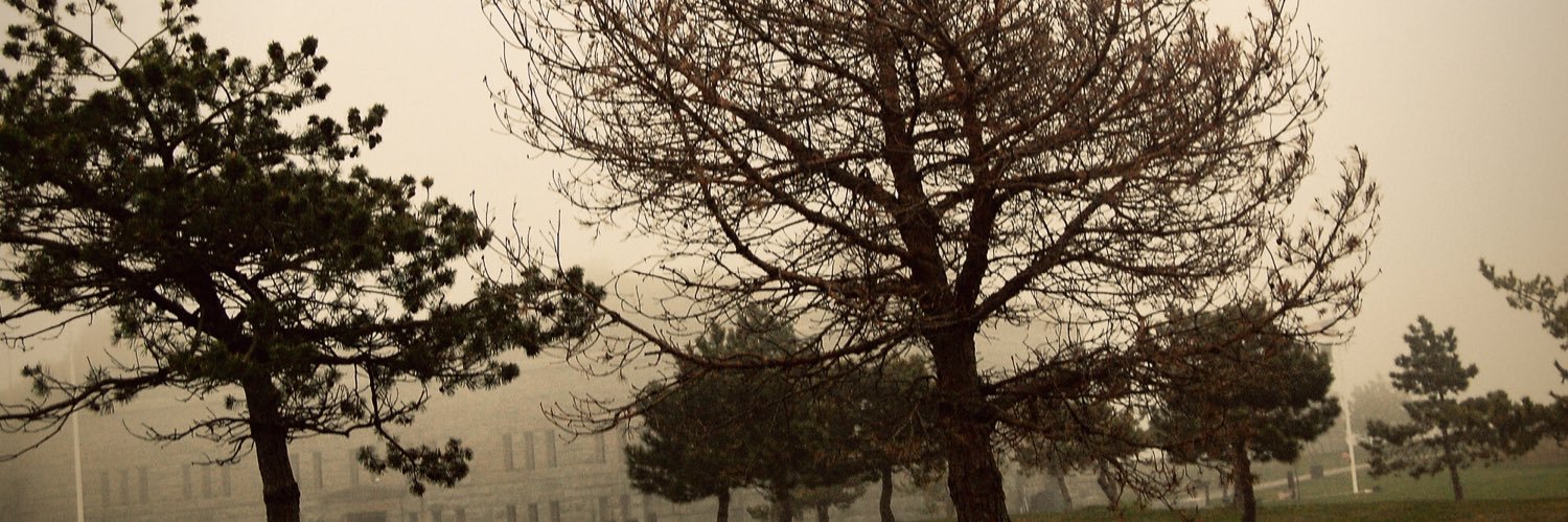 interiorrain's profile banner image