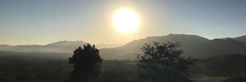 Ayca Miller (she/her) banner