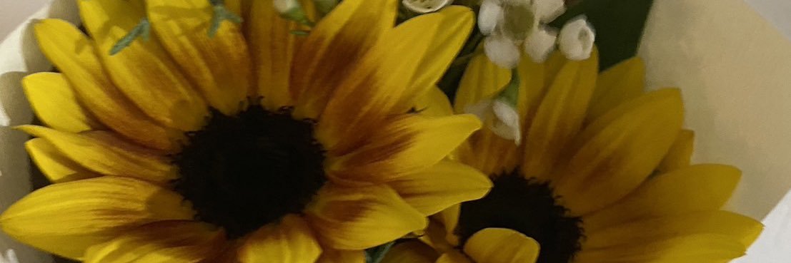 nun banner