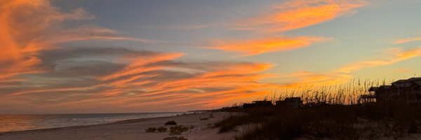 SouthernRhoda Profile Banner