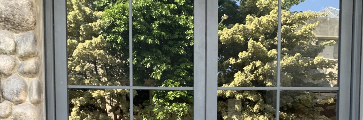 poisedelys's profile banner image