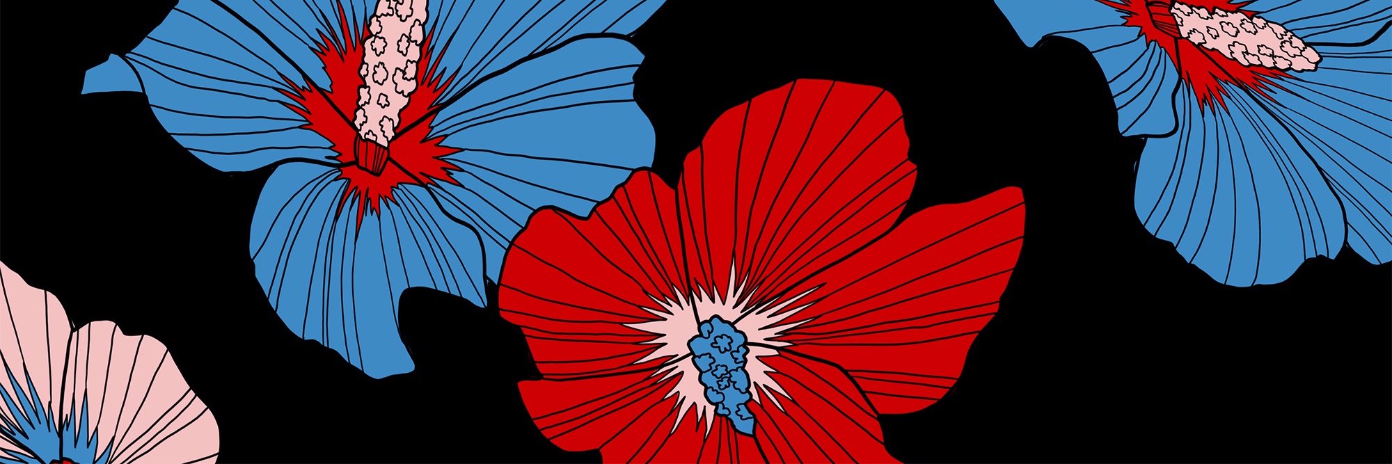 Dani Roche banner