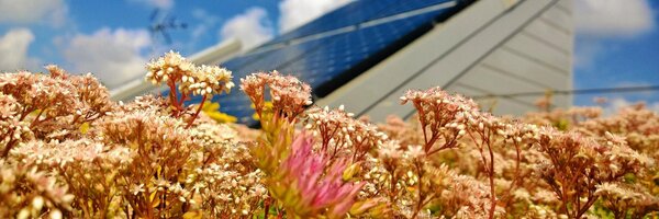 livingrooftops Profile Banner