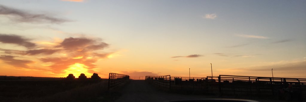 Jenny Schlecht banner