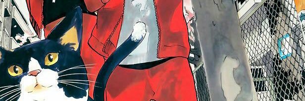 ner banner