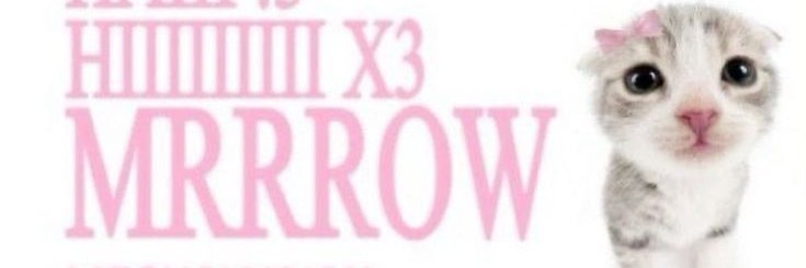 fizzah banner