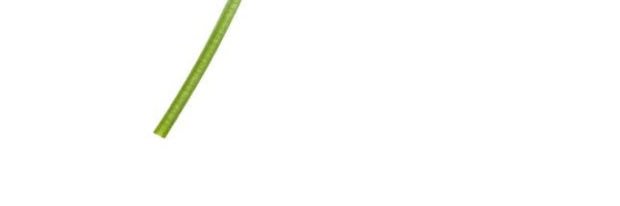 바나나스플릿's banner